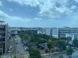 Vertex (D14), Factory #504167371